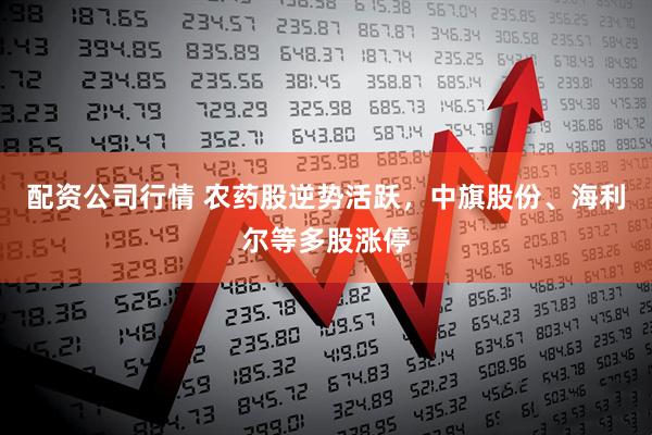 配资公司行情 农药股逆势活跃，中旗股份、海利尔等多股涨停