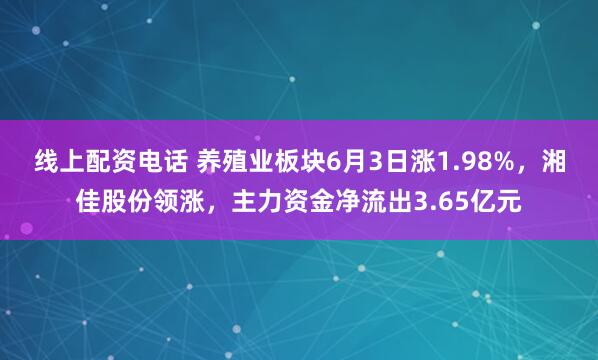 线上配资电话 养殖业板块6月3日涨1.98%，湘佳股份领涨，主力资金净流出3.65亿元