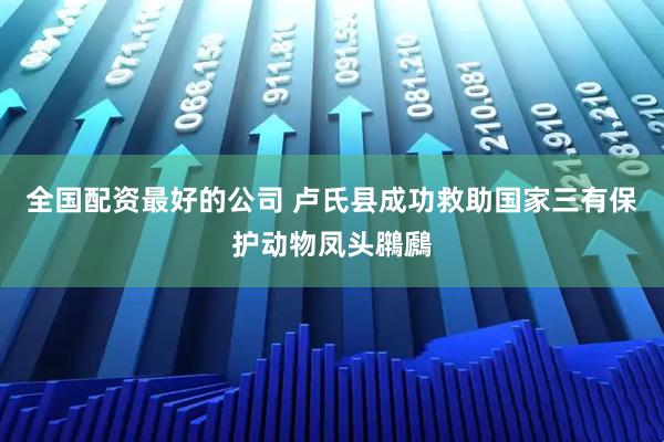 全国配资最好的公司 卢氏县成功救助国家三有保护动物凤头鸊鷉