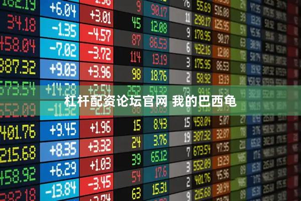 杠杆配资论坛官网 我的巴西龟
