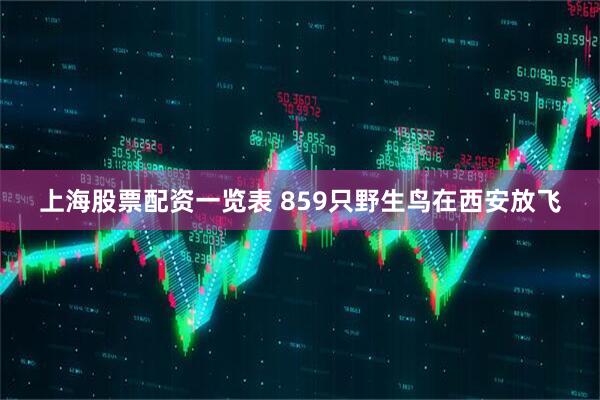 上海股票配资一览表 859只野生鸟在西安放飞