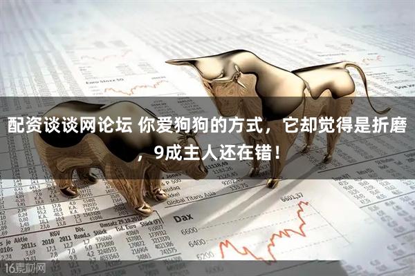 配资谈谈网论坛 你爱狗狗的方式，它却觉得是折磨，9成主人还在错！