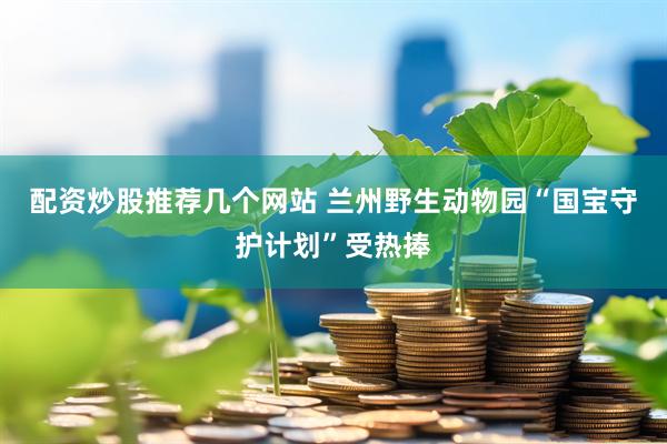 配资炒股推荐几个网站 兰州野生动物园“国宝守护计划”受热捧