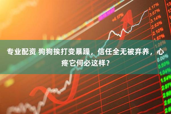 专业配资 狗狗挨打变暴躁，信任全无被弃养，心疼它何必这样？