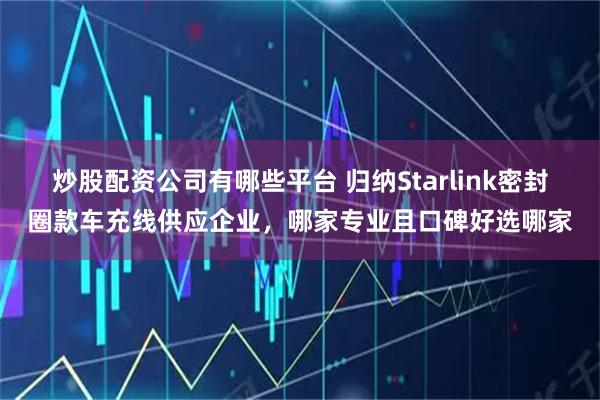 炒股配资公司有哪些平台 归纳Starlink密封圈款车充线供应企业，哪家专业且口碑好选哪家